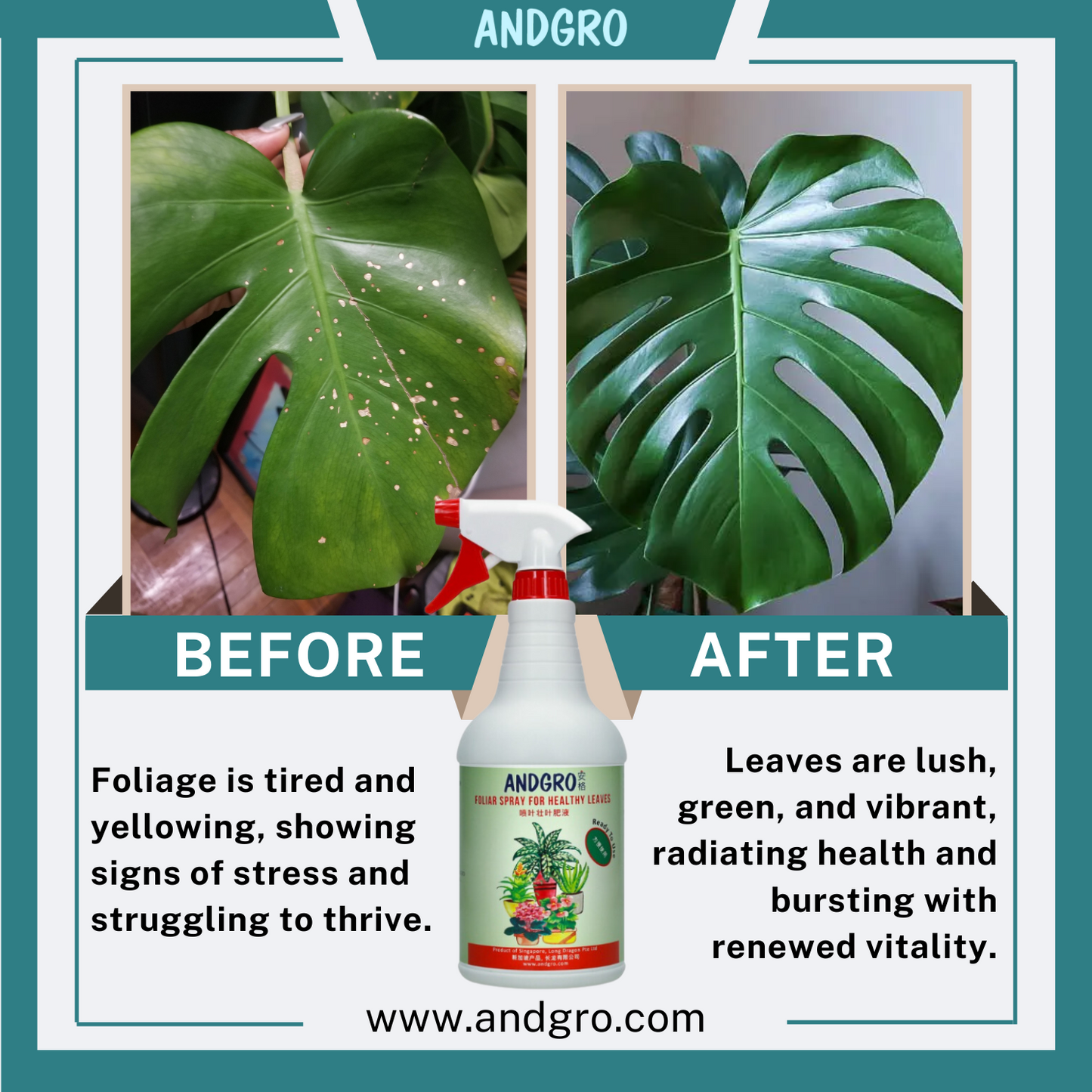 Spray for Flowering, Spray for Healthy Leaves & White Oil Insecticide