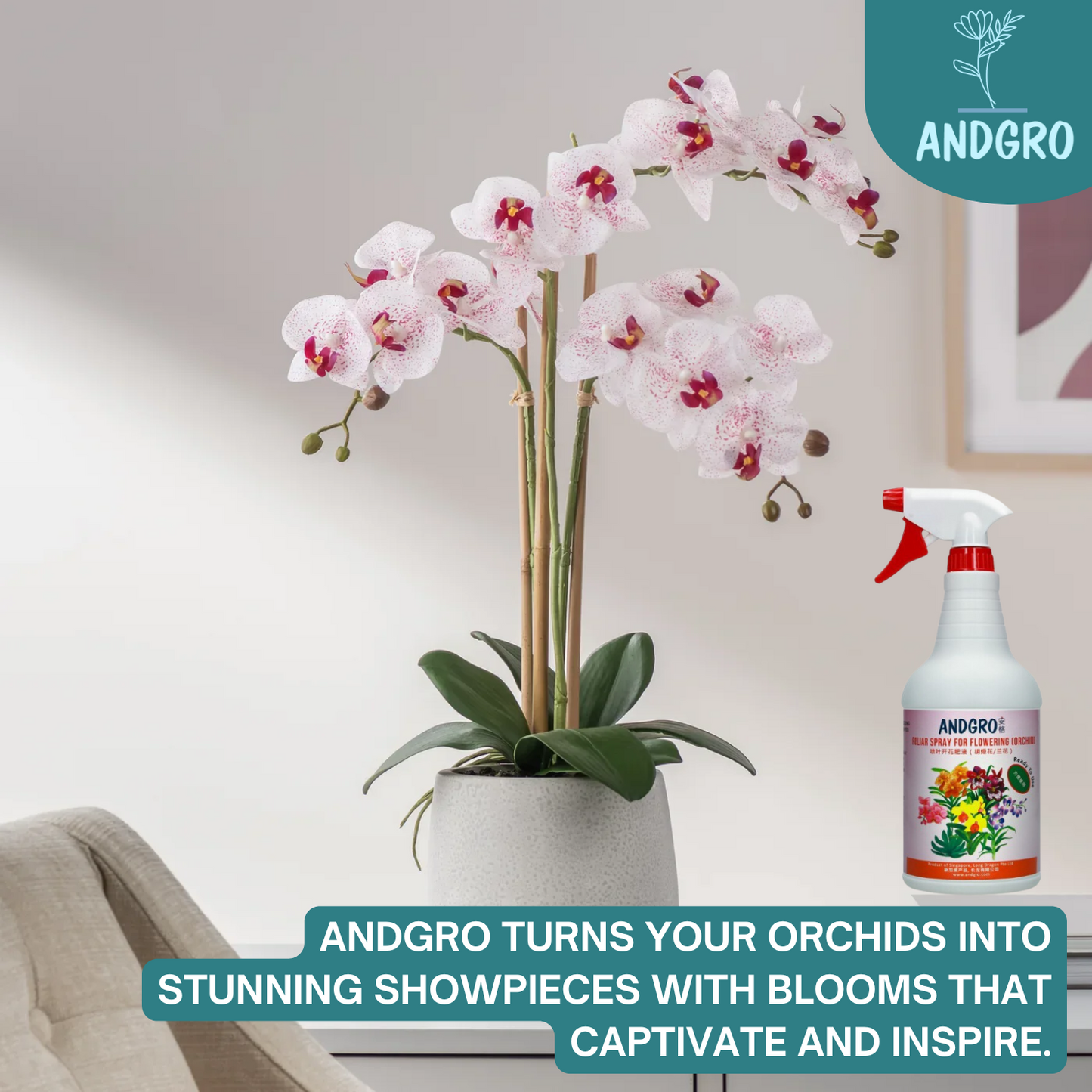 Foliar Spray for Flowering - Orchid (Carton Deal, 1000ml x 6 Bottles)