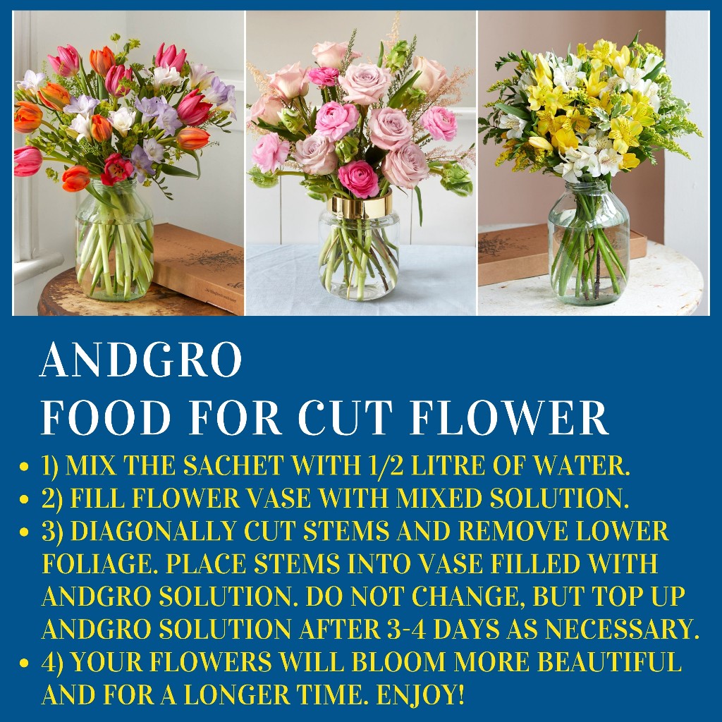 Cut Flower Food (10 Sachets of 5gm)
