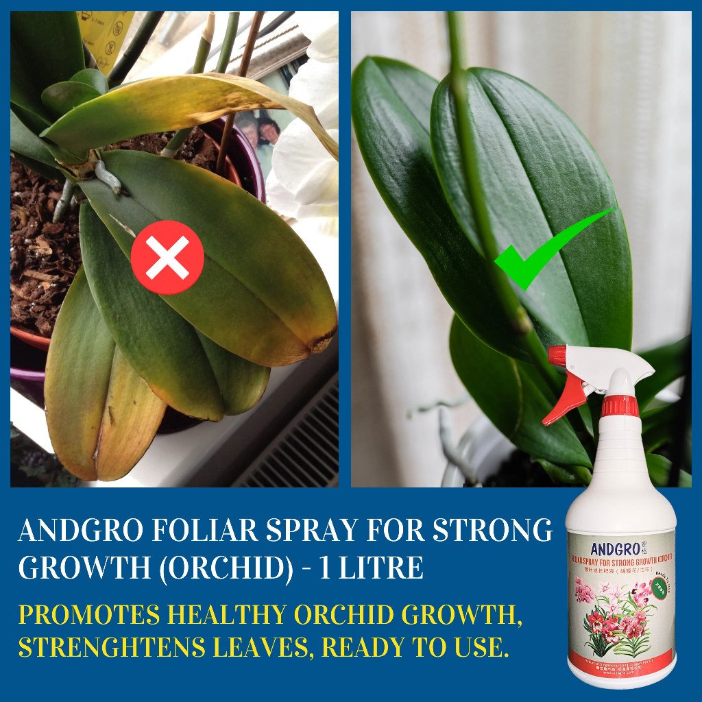 Spray for Flowering (Orchid) &  Spray for Strong Growth(Orchid) & White Oil