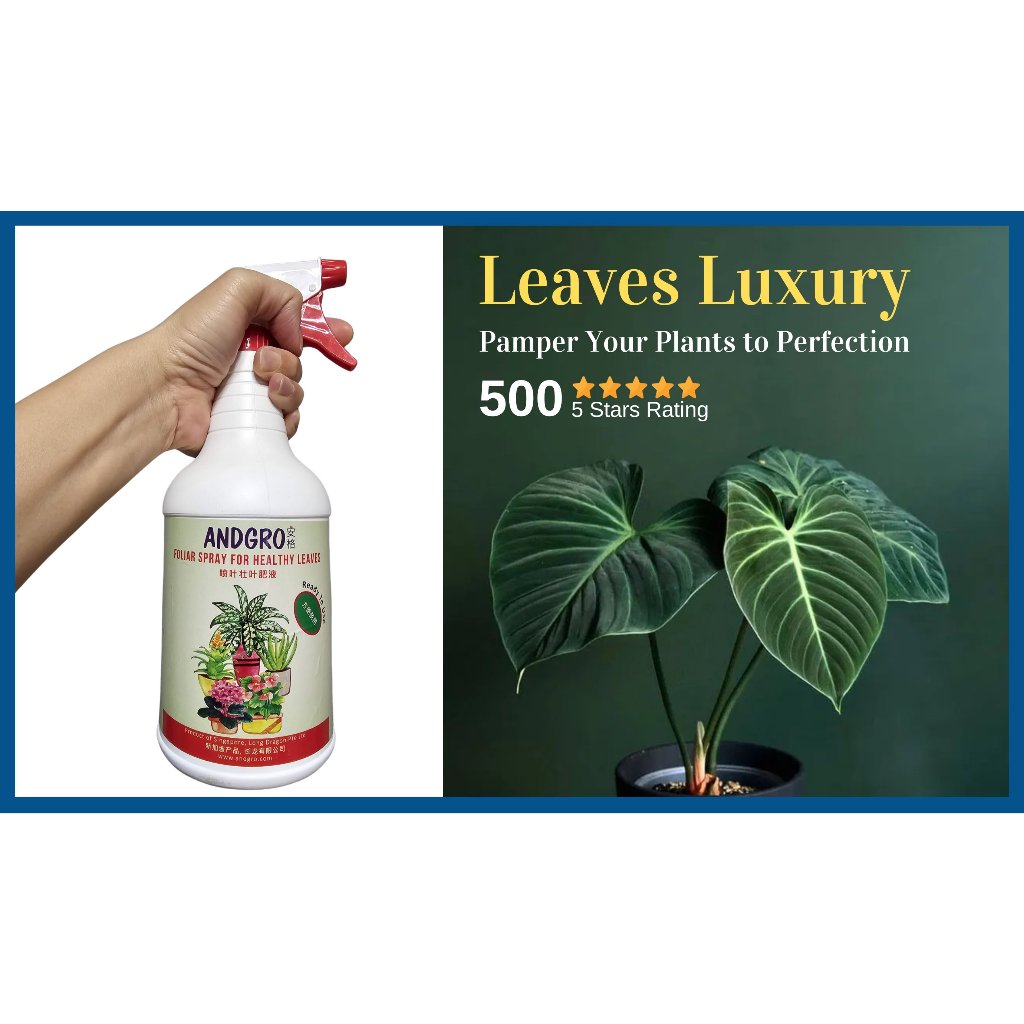 Foliar Spray for Healthy Leaves, Organic Neem Oil Insecticide