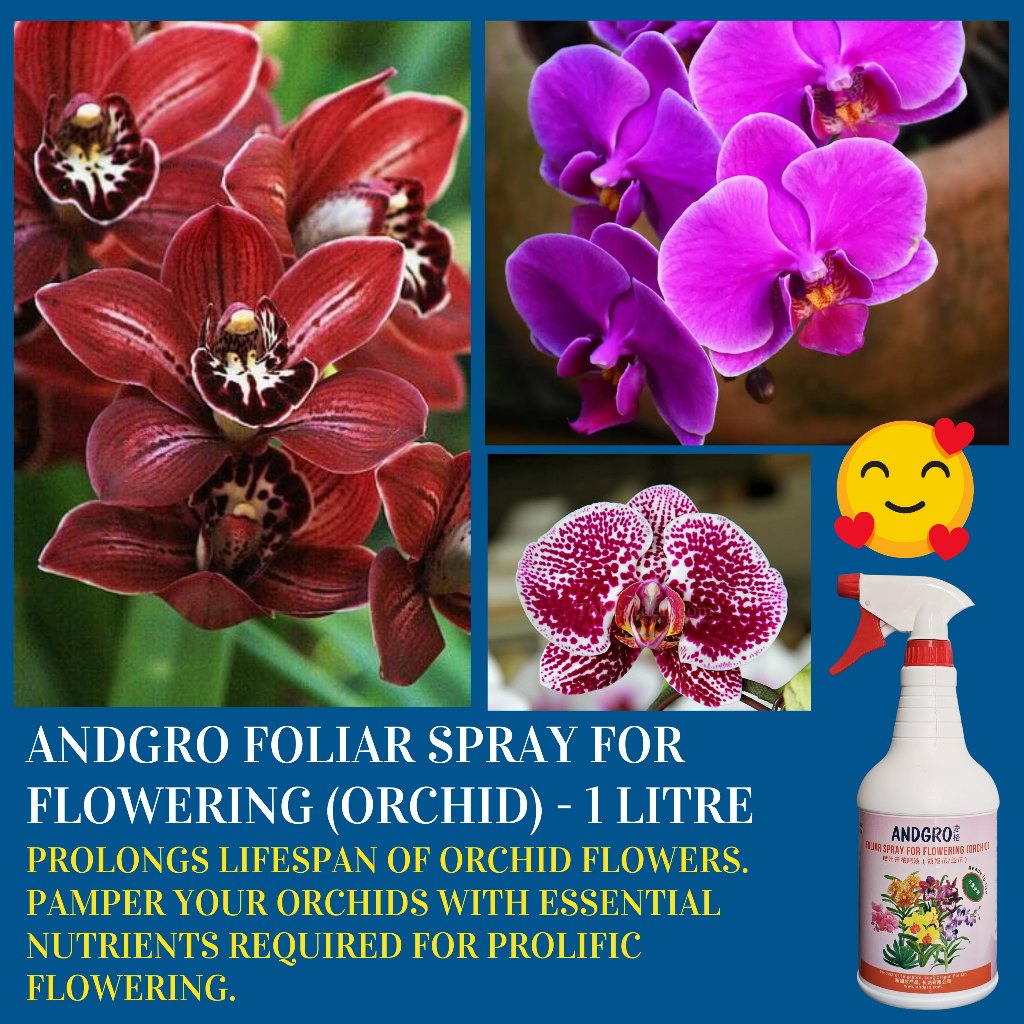 Foliar Spray for Flowering - Orchid (Carton Deal, 1000ml x 6 Bottles)