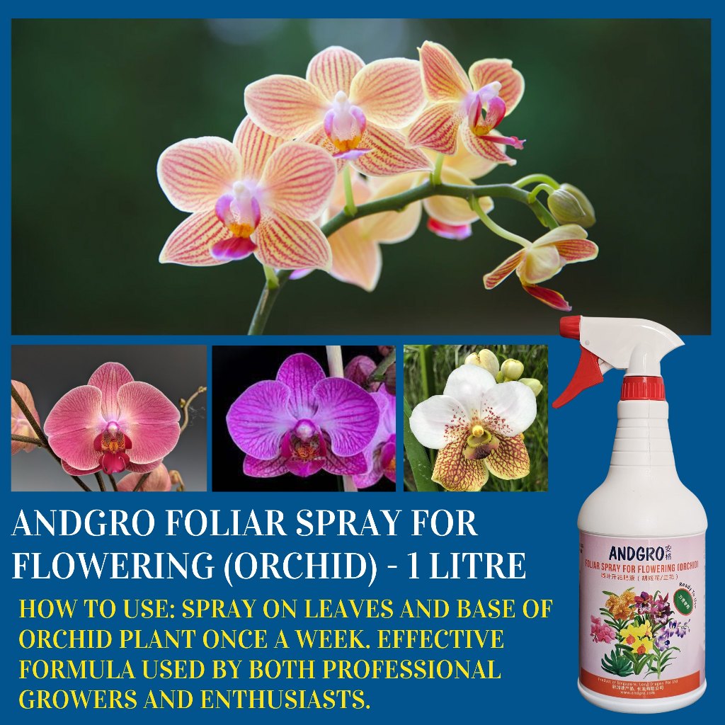 Spray for Flowering (Orchid) &  Spray for Strong Growth(Orchid) & White Oil