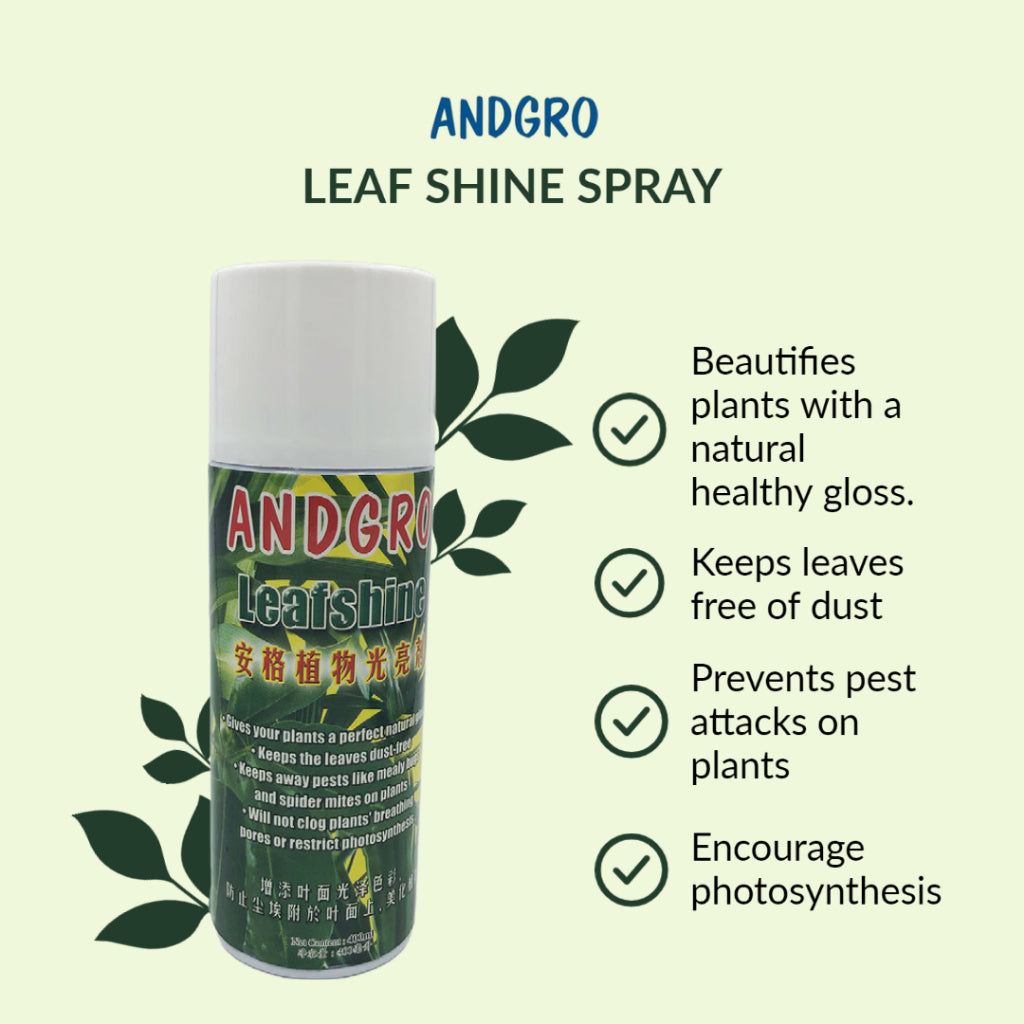 Spray for Healthy Leaves, Organic Neem Oil, Leaf Shine Spray