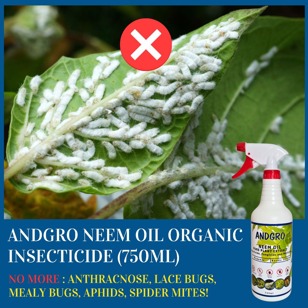 Spray for Healthy Leaves, Organic Neem Oil, Leaf Shine Spray