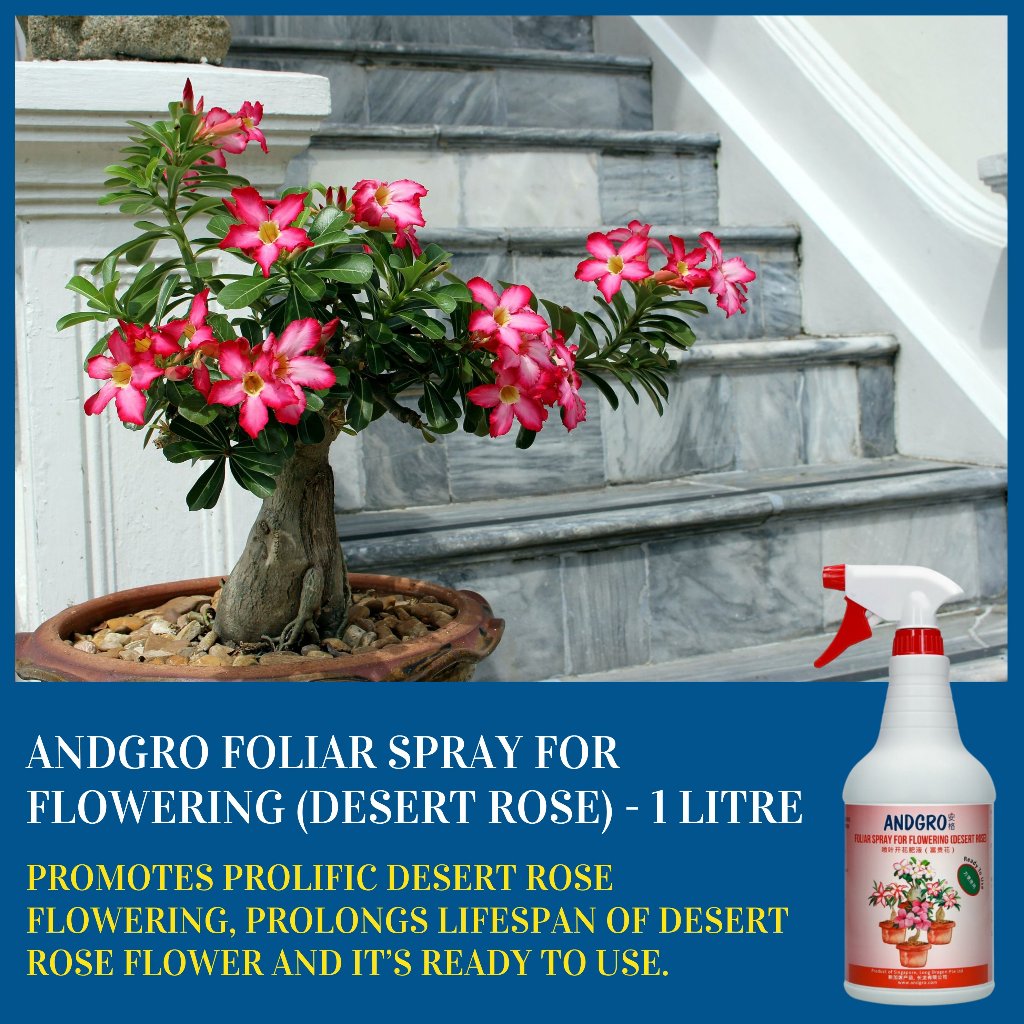 Foliar Spray for Flowering - Desert Rose (1000ml)