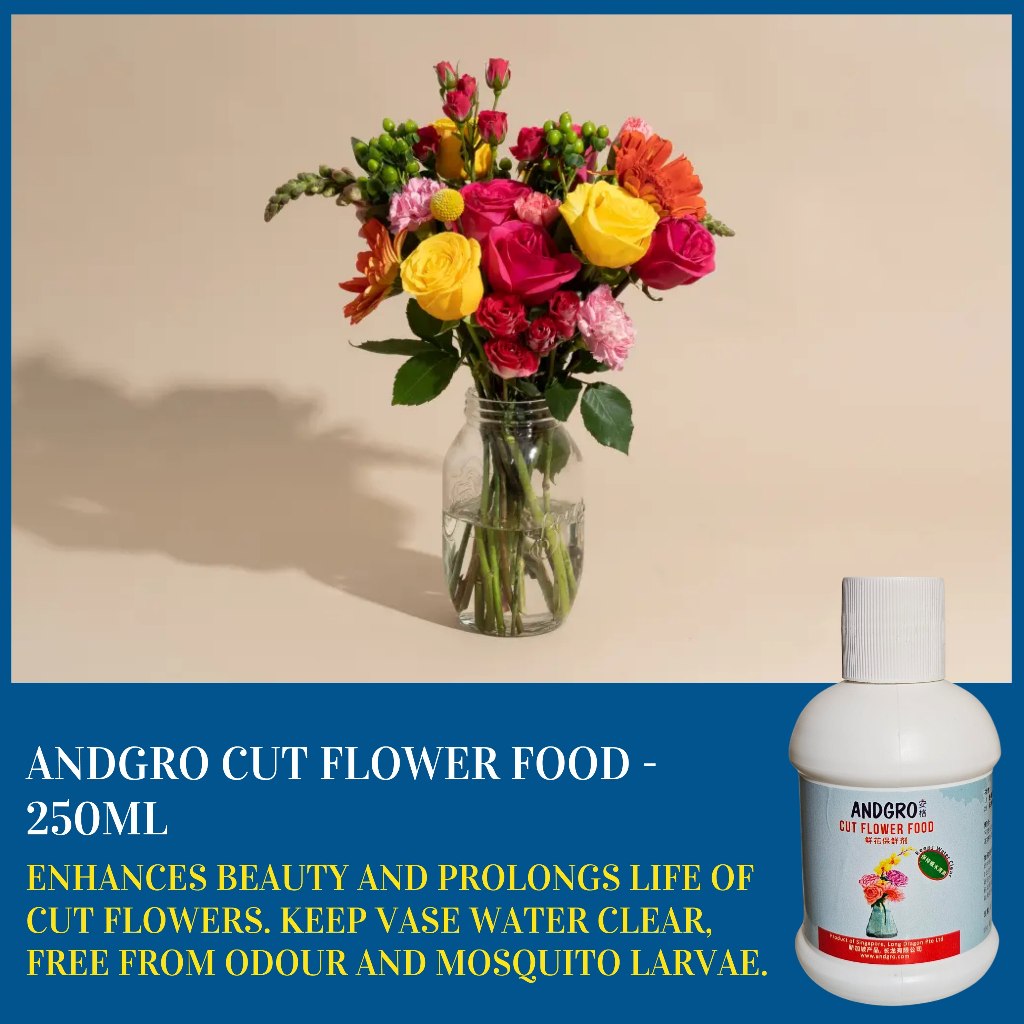 Food for Cut Flower (Carton Deal, 250ml x 12 bottles)
