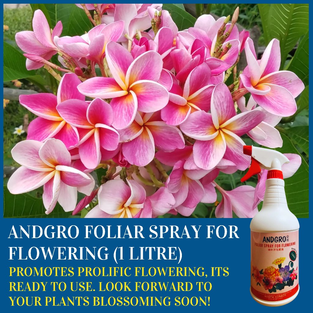 Spray for Flowering, Spray for Healthy Leaves & White Oil Insecticide