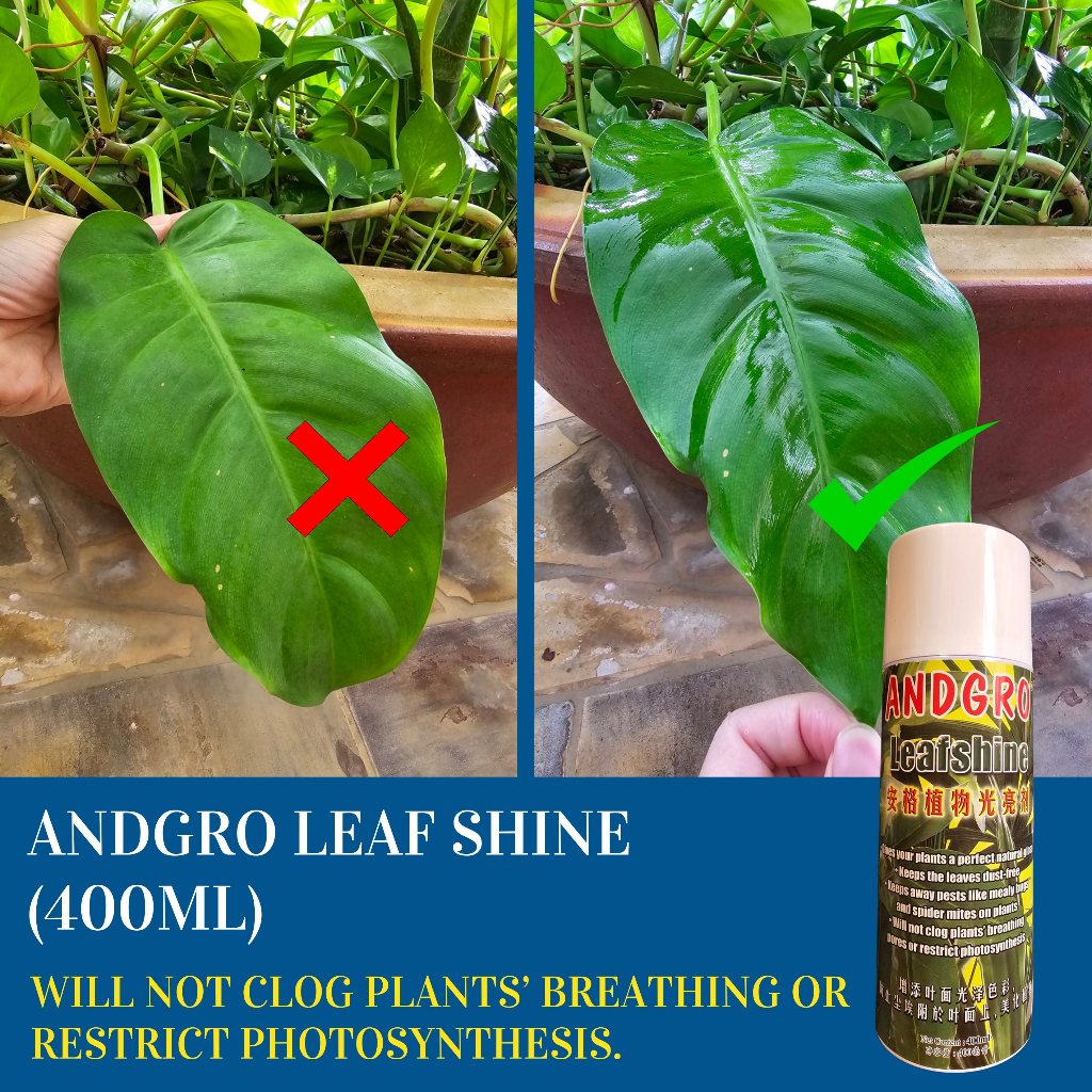 Leaf Shine (400ml)