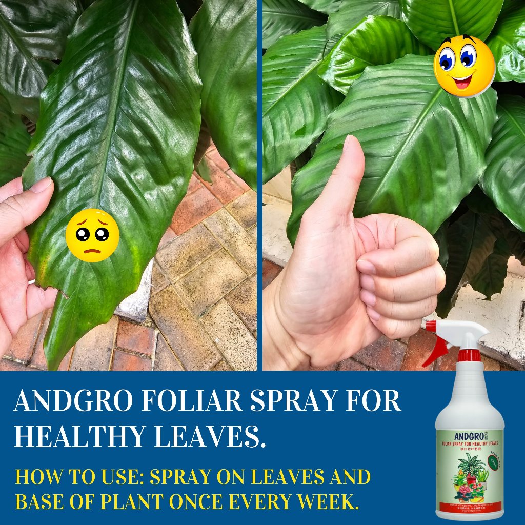 Foliar Spray for Flowering (Desert Rose) & Healthy Leaves