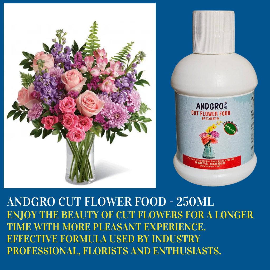 Food for Cut Flower (Carton Deal, 250ml x 12 bottles)