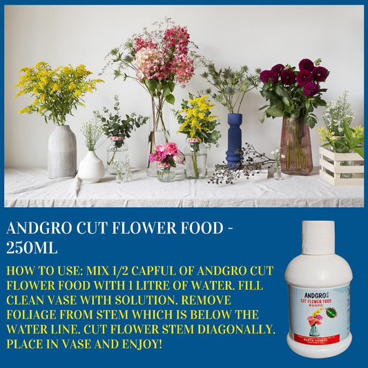 Cut Flower Food (250ml)