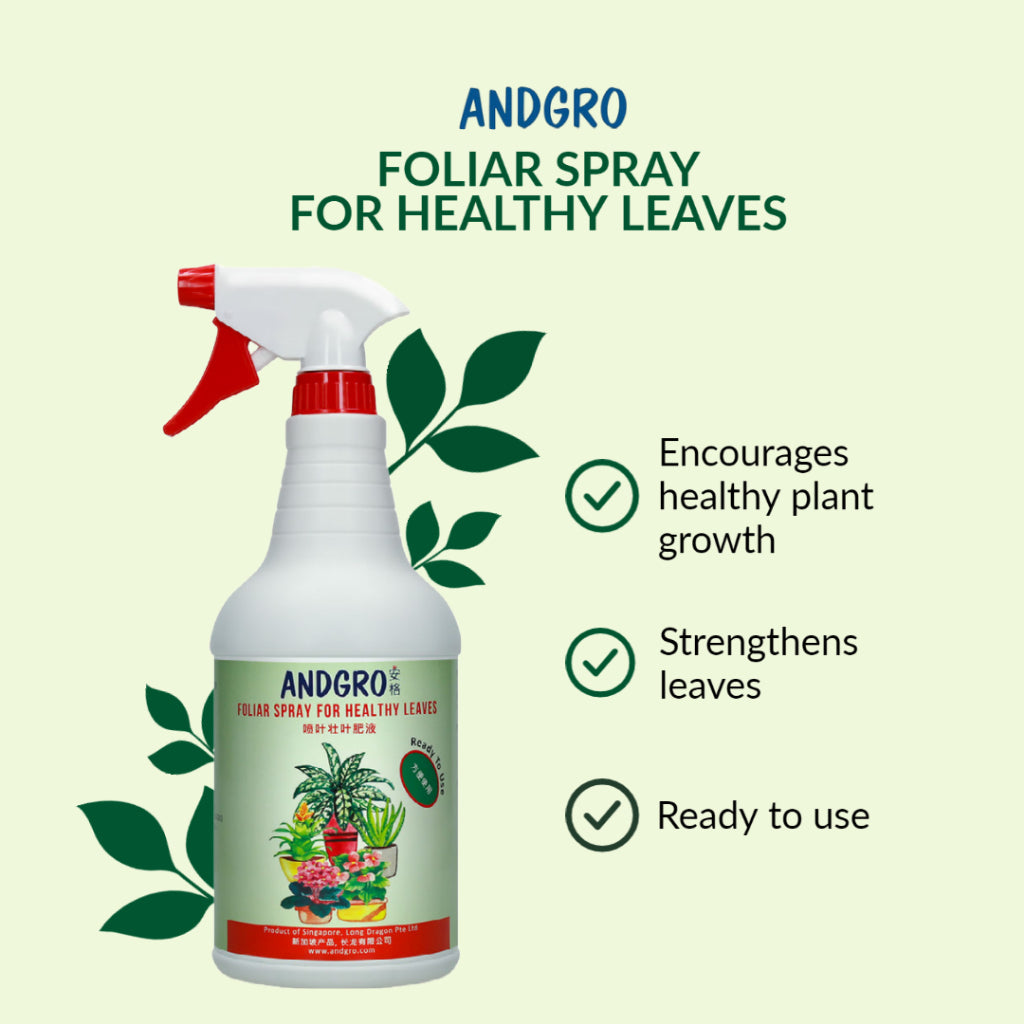 Spray for Healthy Leaves, Organic Neem Oil, Leaf Shine Spray