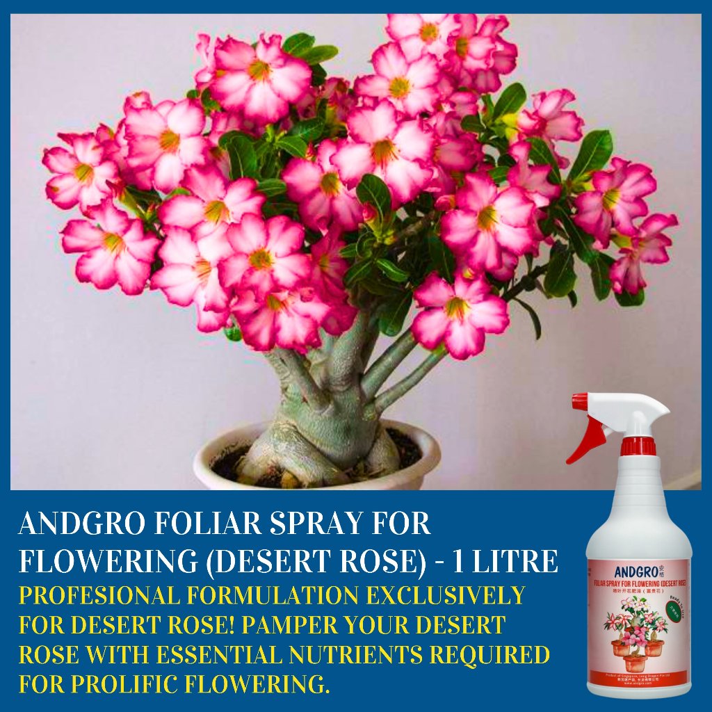 Foliar Spray for Flowering - Desert Rose (Carton Deal, 1000ml x 6 Bottles)