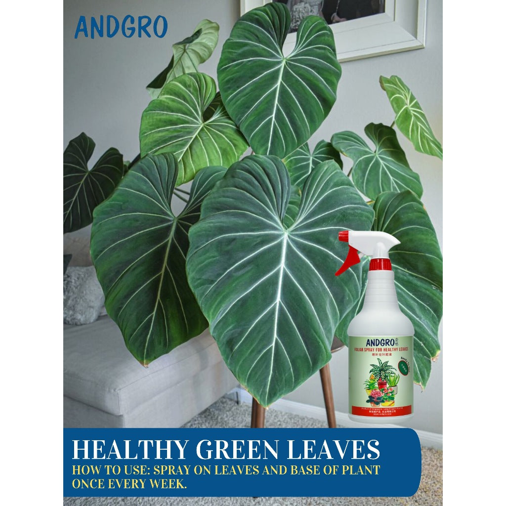 Spray for Healthy Leaves (1000ml)