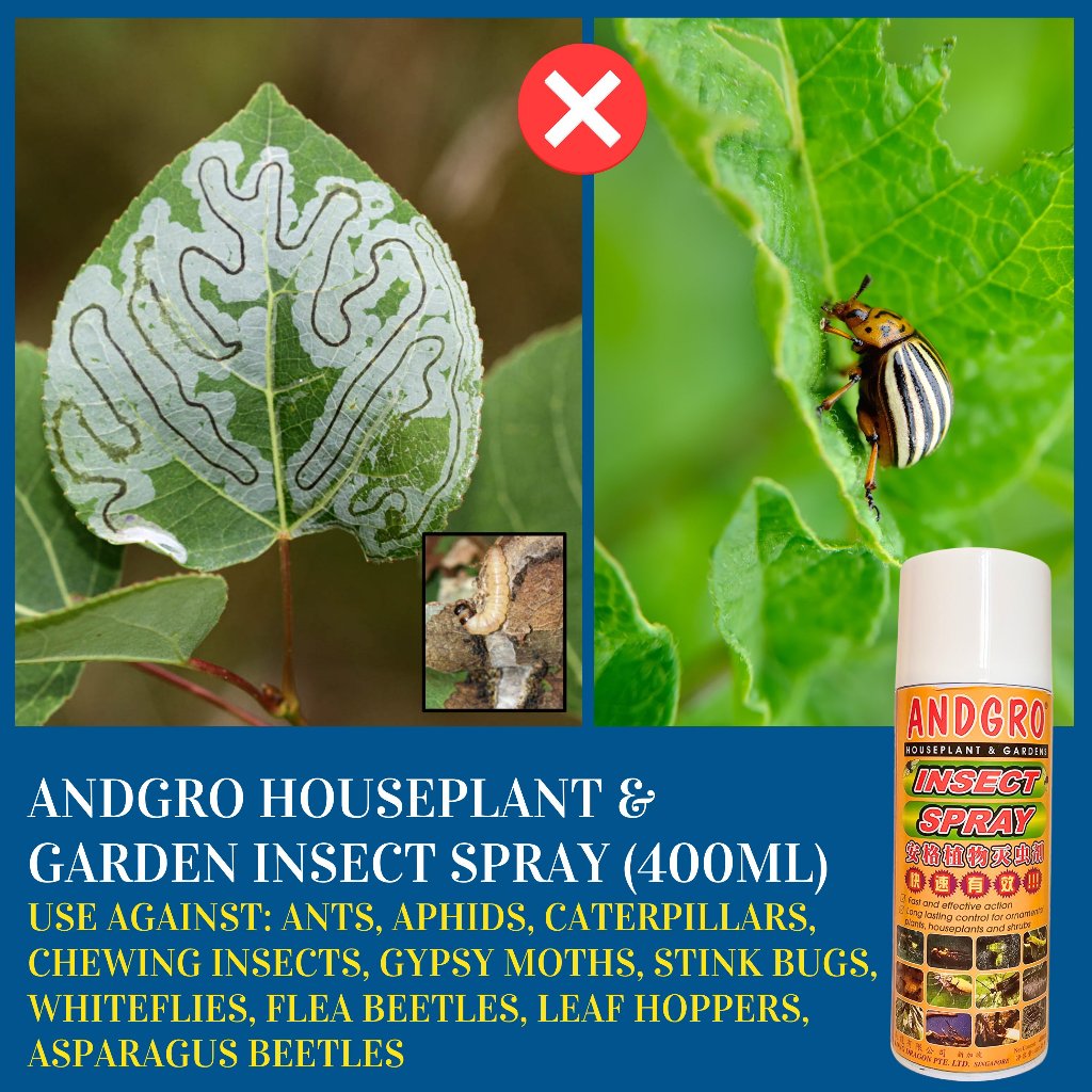 Insect Spray insecticide (400ml)