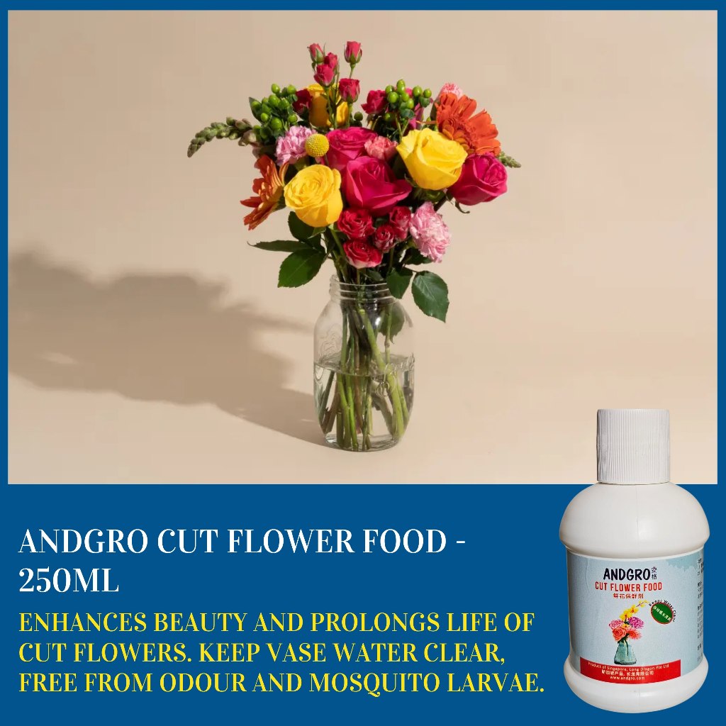 Cut Flower Food (250ml)