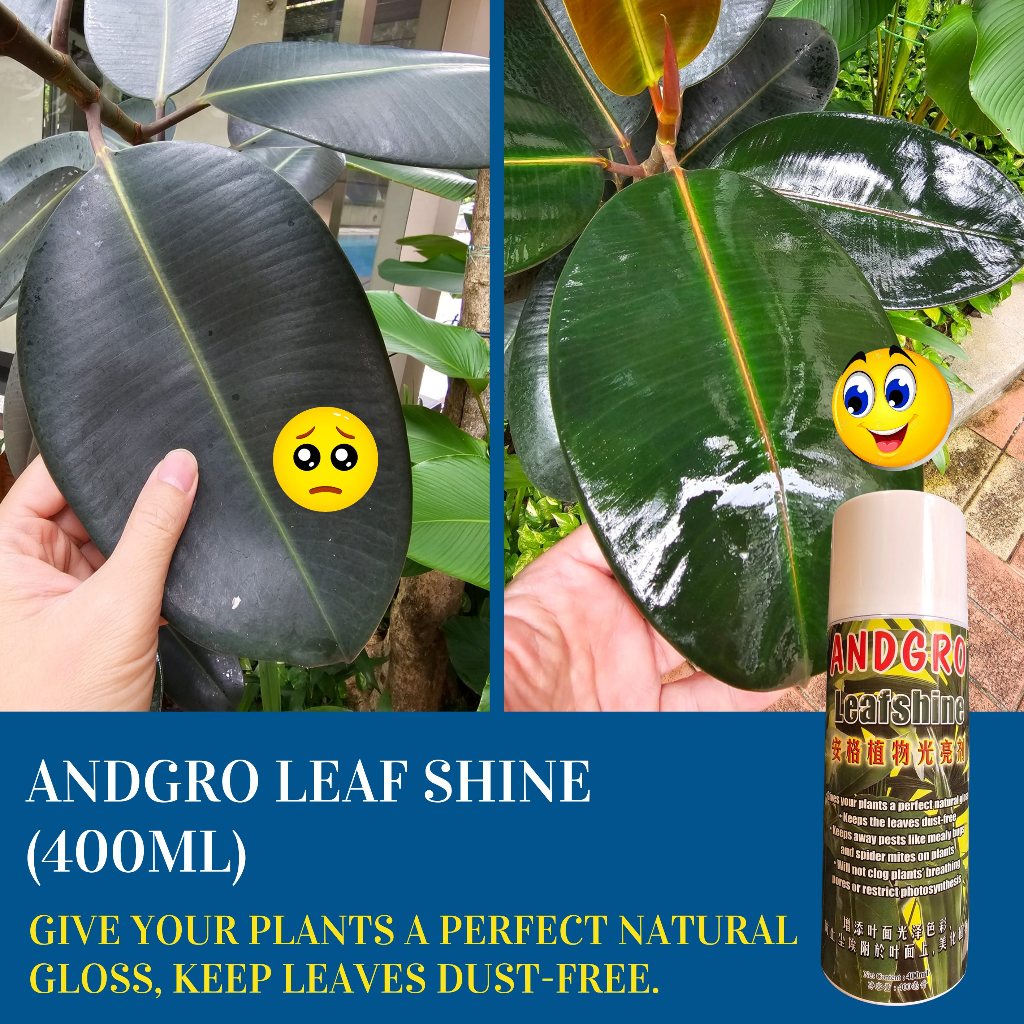Spray for Healthy Leaves, Organic Neem Oil, Leaf Shine Spray