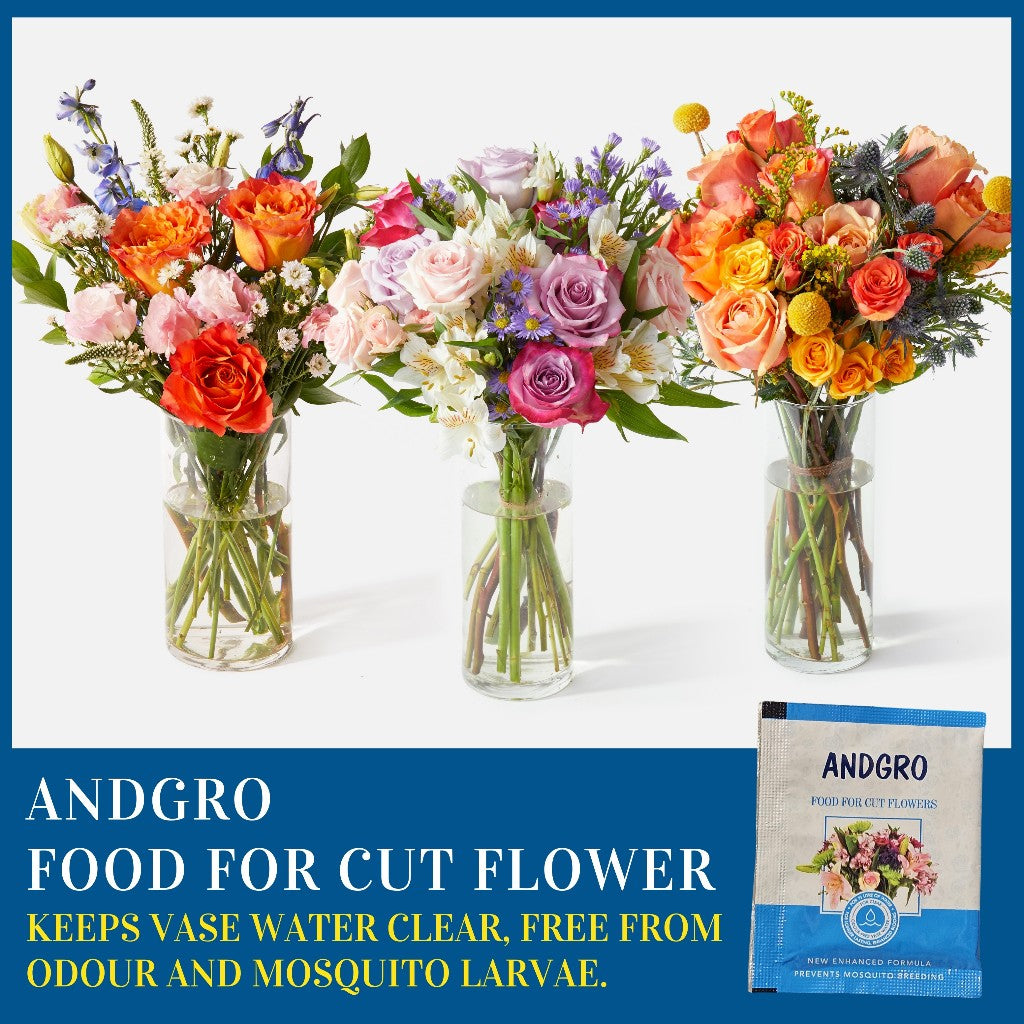 Cut Flower Food (200 sachets of 5gm)