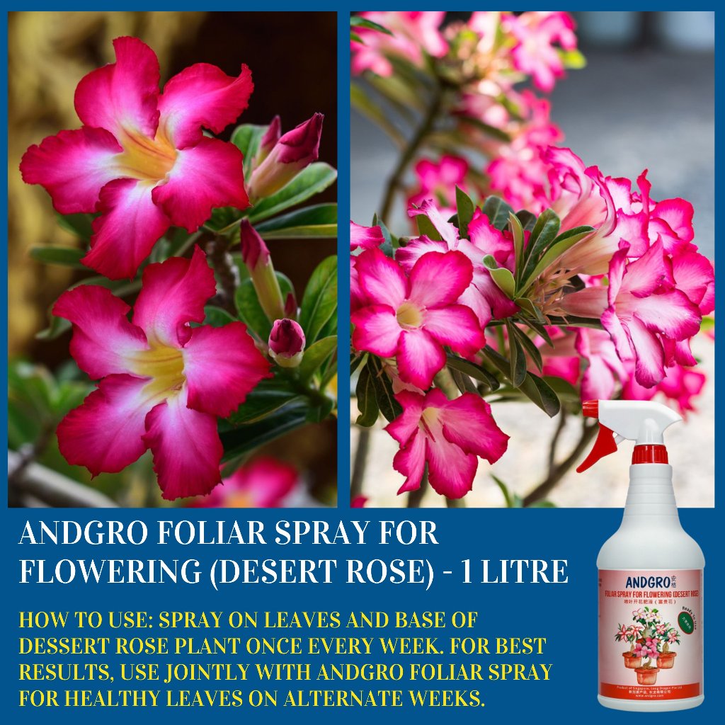 Spray for Flowering (Desert Rose) & Healthy Leaves & White Oil insecticide