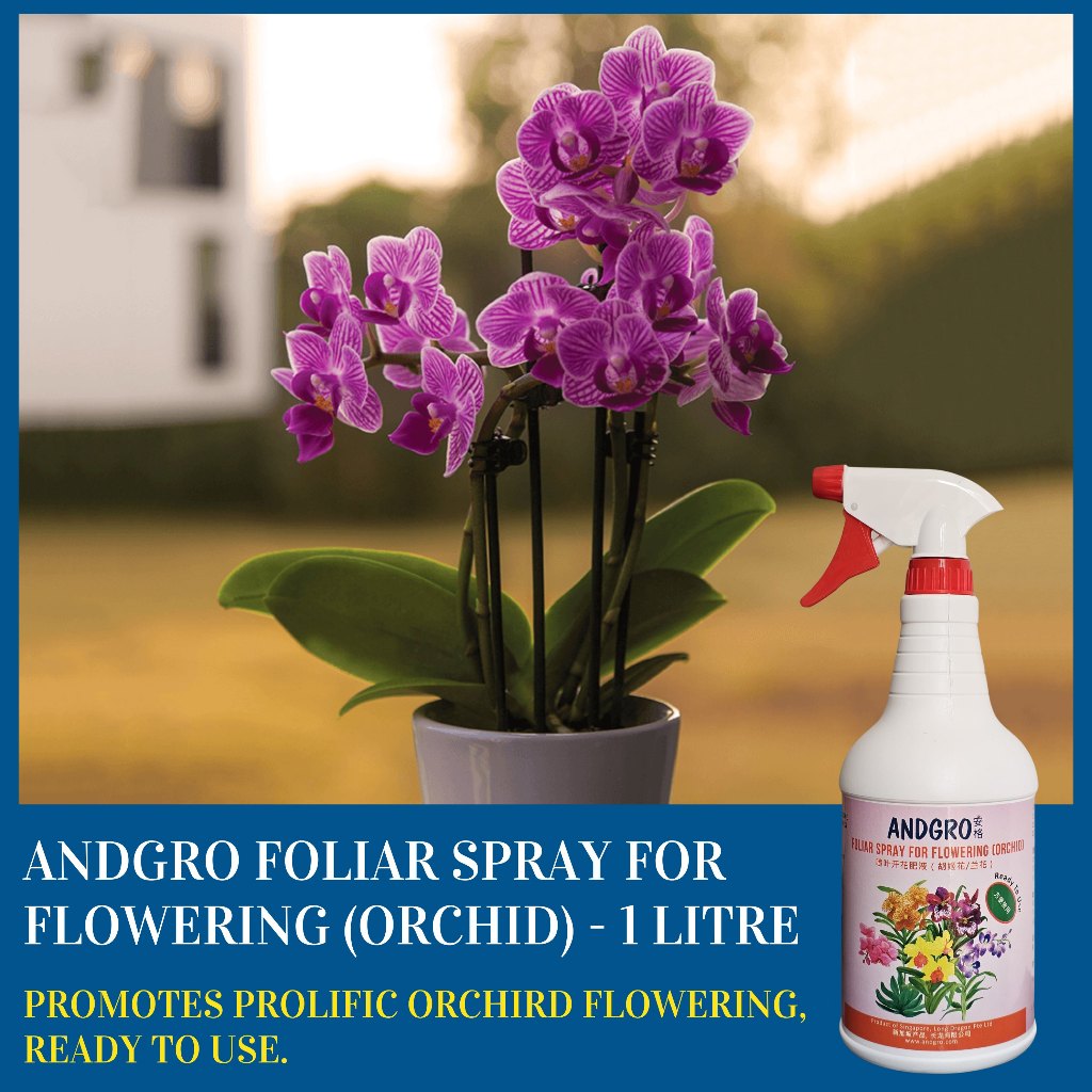 Foliar Spray for Flowering - Orchid (Carton Deal, 1000ml x 6 Bottles)