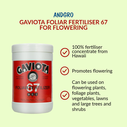 Gaviota 67 Foliar Fertilizer for Flowering (300g)