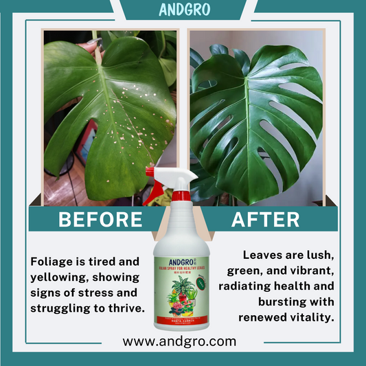 Spray for Healthy Leaves (1000ml)