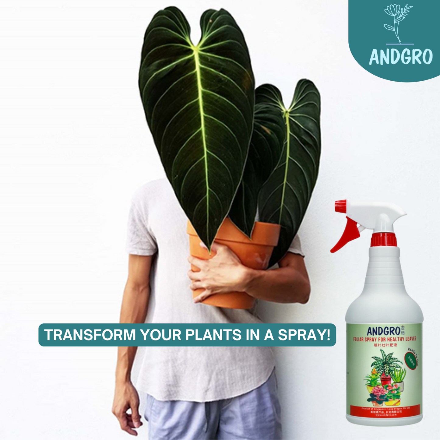 Foliar Spray for Flowering & Healthy Leaves Bundle Deal