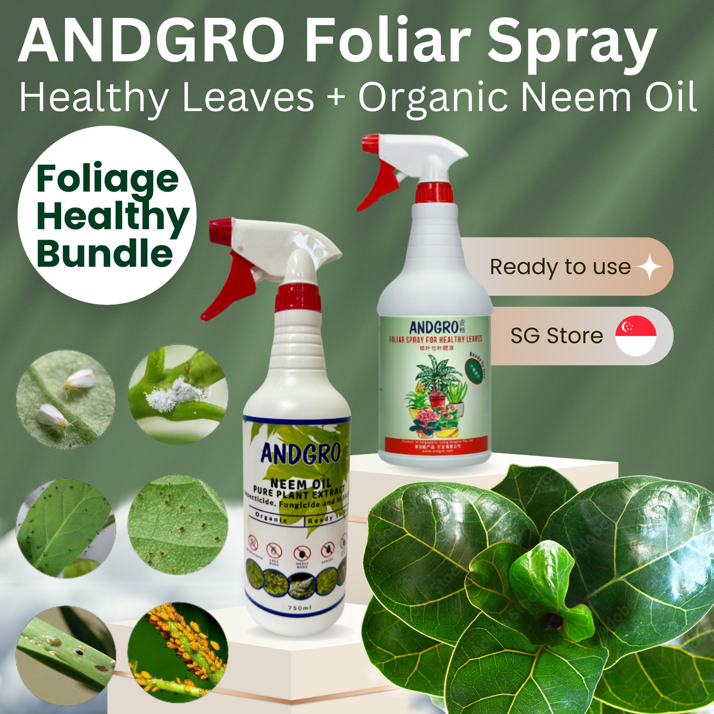 Foliar Spray for Healthy Leaves, Organic Neem Oil Insecticide