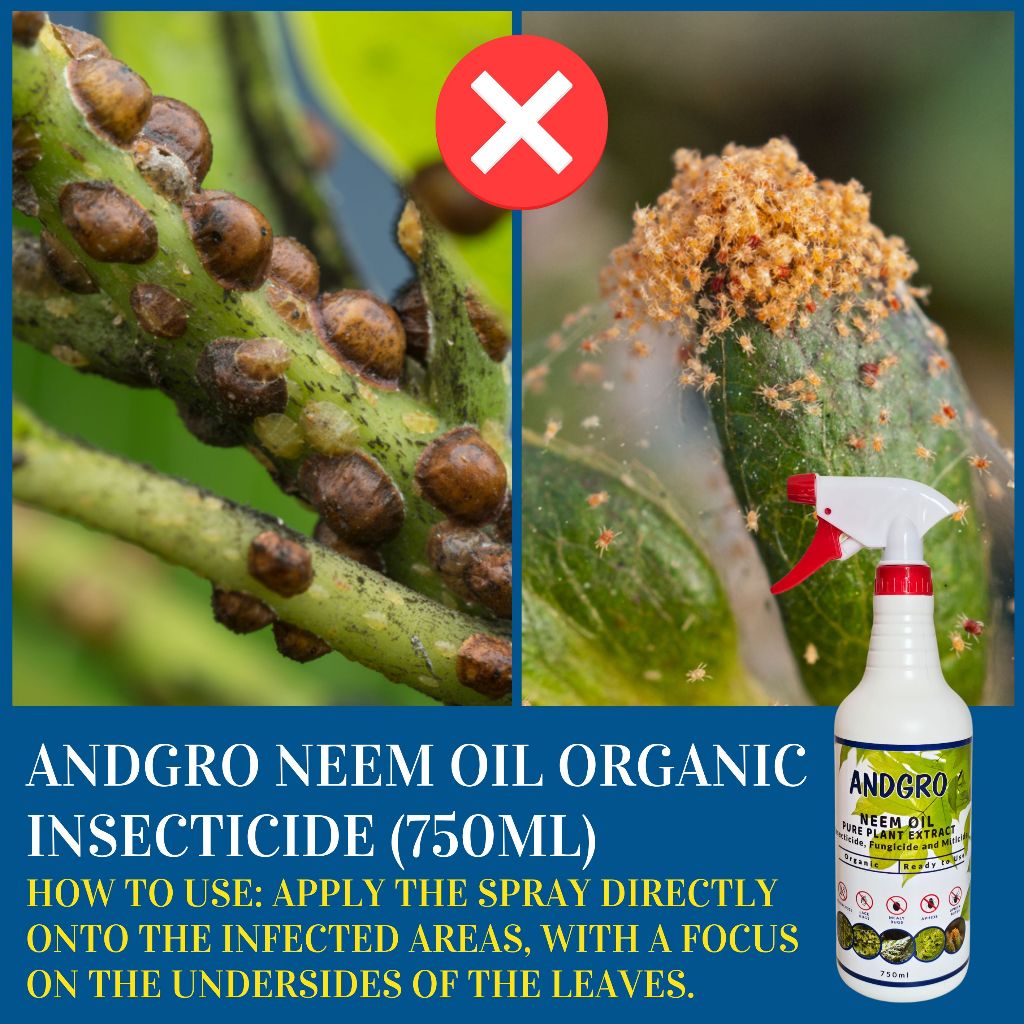 Neem Oil Organic Insecticide 750ml - Natural Pest Control | Andgro ...