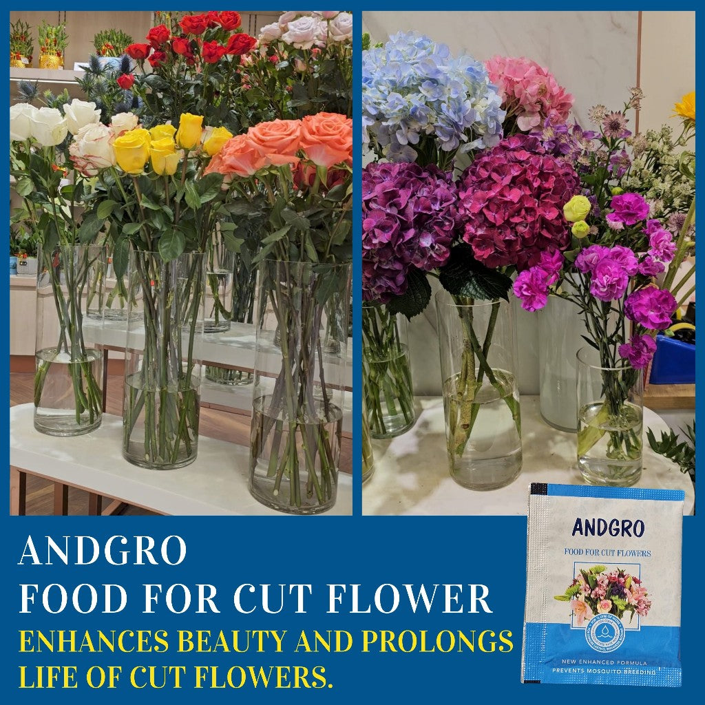 Cut Flower Food (10 Sachets of 5gm) + Cut Flower Food (250ml)