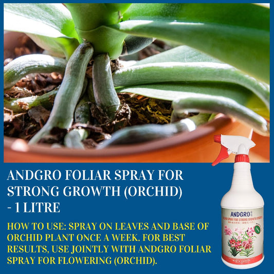 Foliar Spray for Strong Growth - Orchid (1000ml)