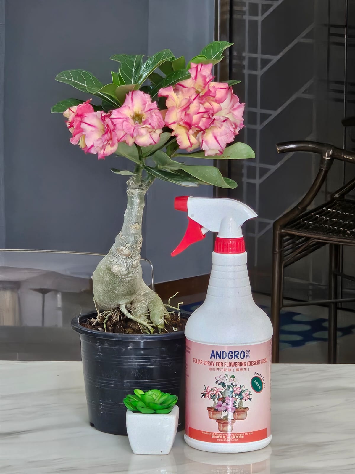 Foliar Spray for Flowering - Desert Rose (1000ml)