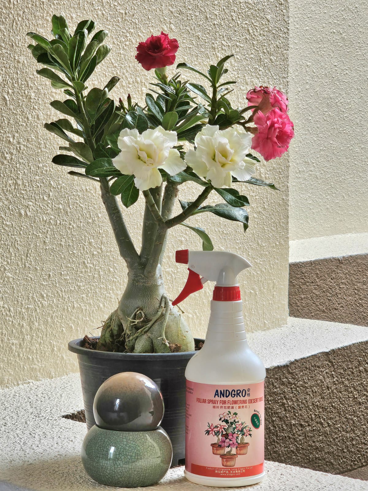 Foliar Spray for Flowering - Desert Rose (1000ml)
