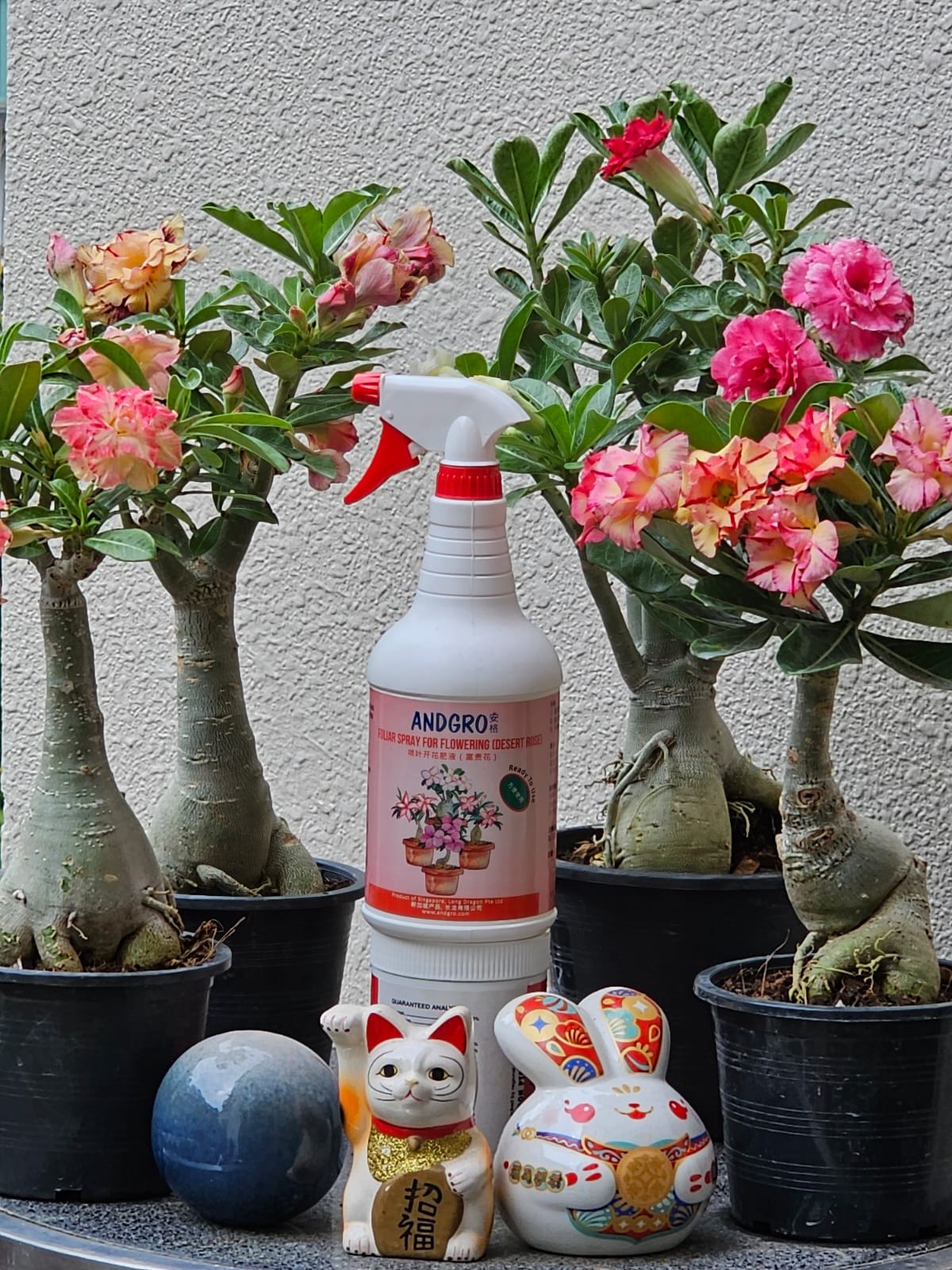 Foliar Spray for Flowering - Desert Rose (1000ml)