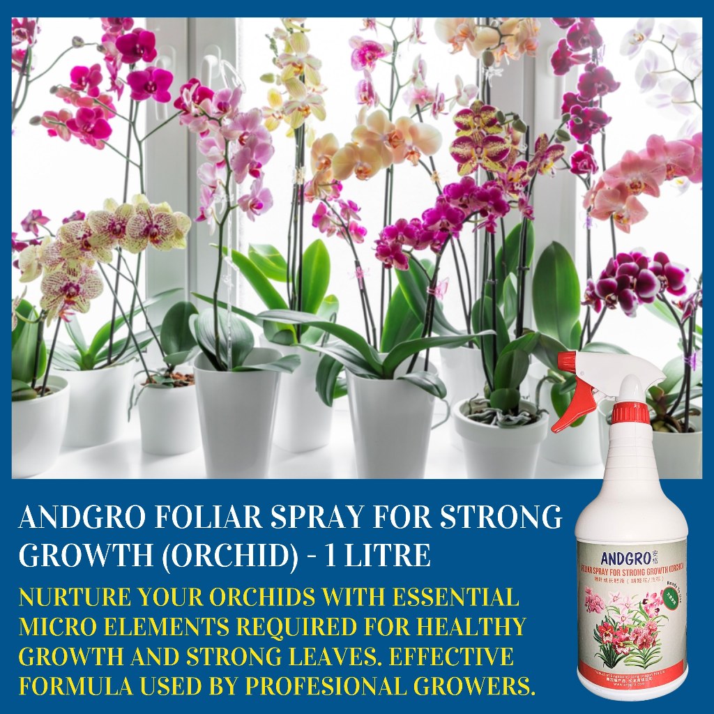 Foliar Spray for Strong Growth - Orchid (1000ml)